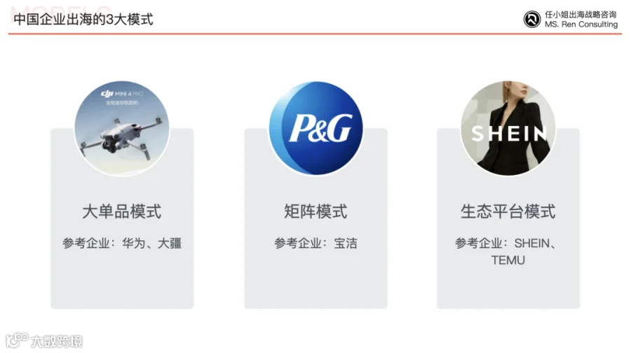 聊聊跨境企业的“生态位”:平衡全球化内功与外功的艺术