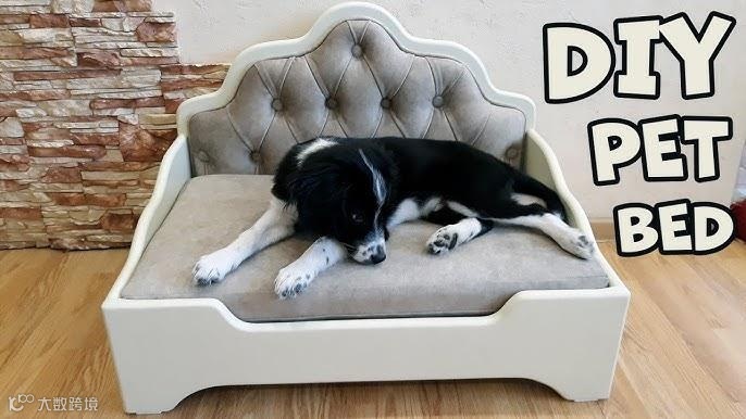 千亿美金高增市场，小众宠物家居出海火热