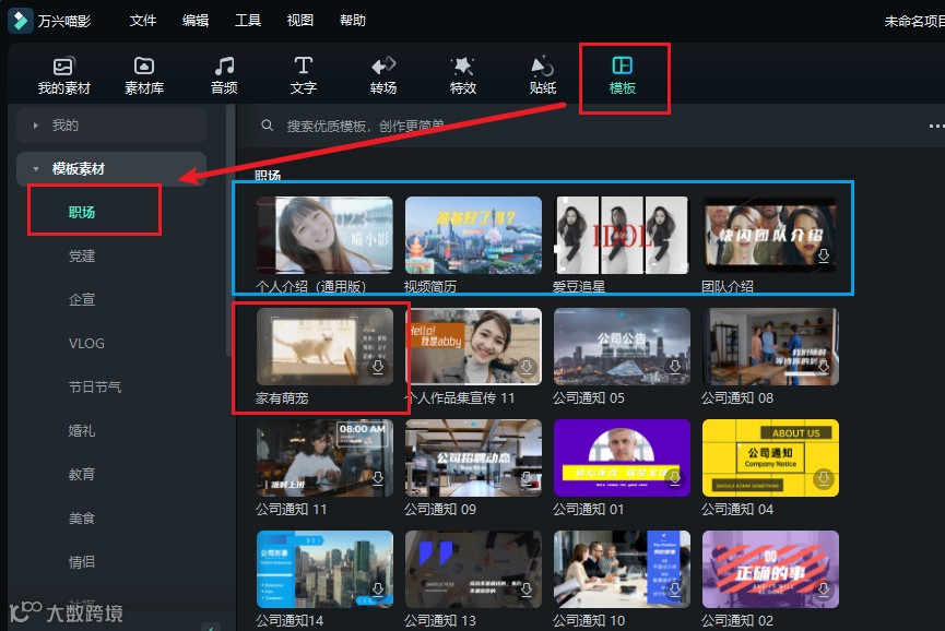 视频模板 | 一只打工猫的自我介绍