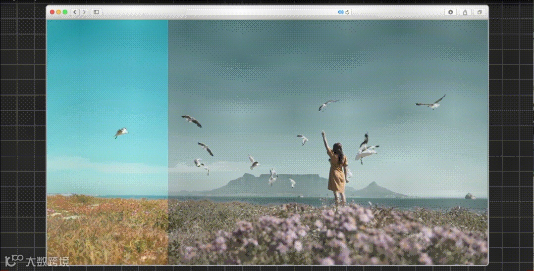 「全属性关键帧」怎么玩?免费获取更多剪辑课程→