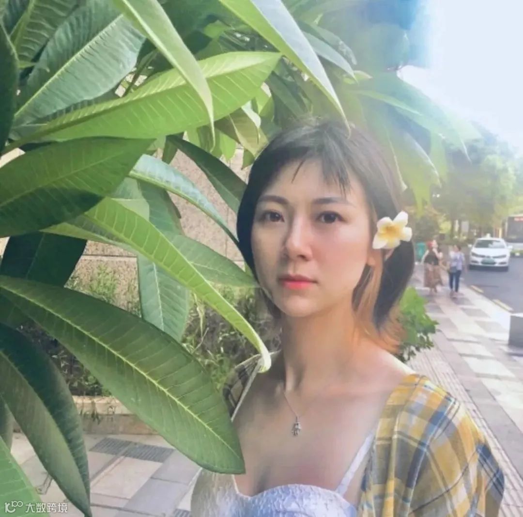 视频模板 | 一只打工猫的自我介绍