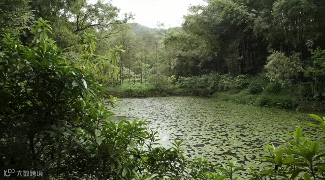 废片先别删,还能救!