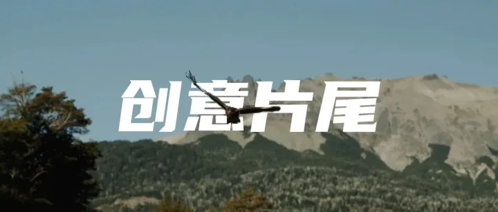 一看就会！火爆全网的电影感片尾