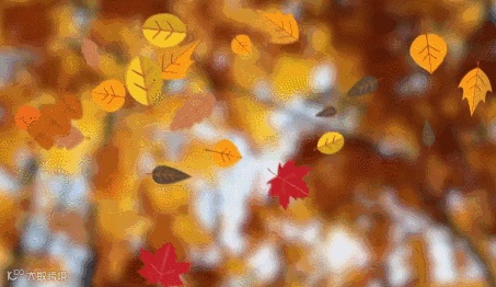 万兴神剪手的校园课堂第一课！