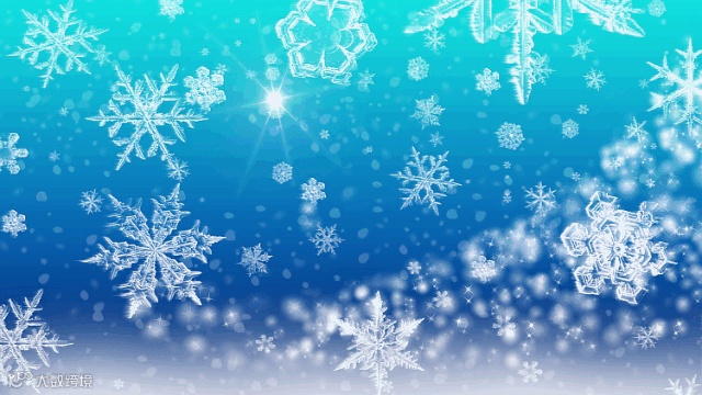 五一假期，我要偷偷努力，然后惊艳所有人