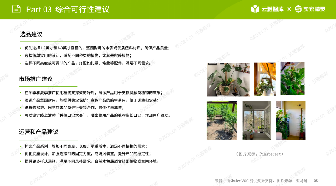 行业洞察报告｜小赛道小市场，植物支撑架如何在细分领域脱颖而出？