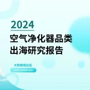 大数独家 |《2024空气净化器品类出海研究报告》解读：健康追求无国界，如何用清新空气俘获消费者芳心