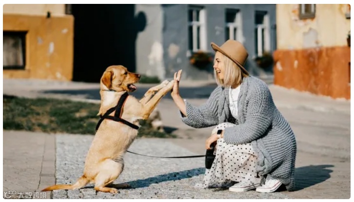 告别宅家生活，2022这个赛道迎来井喷，市场规模或达1000亿！