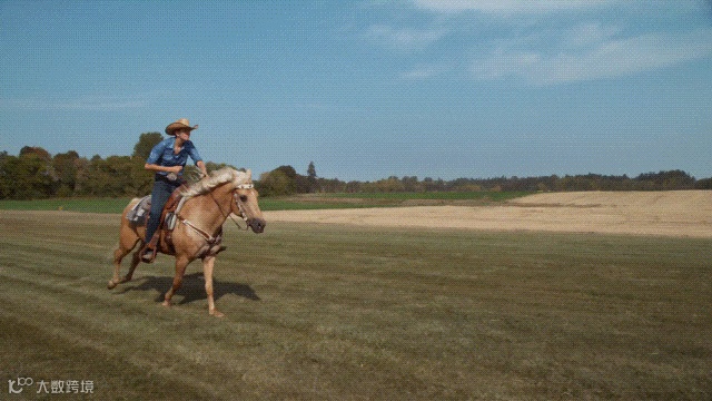 不用换iPhone 16！旧手机也能get同等拍摄效果