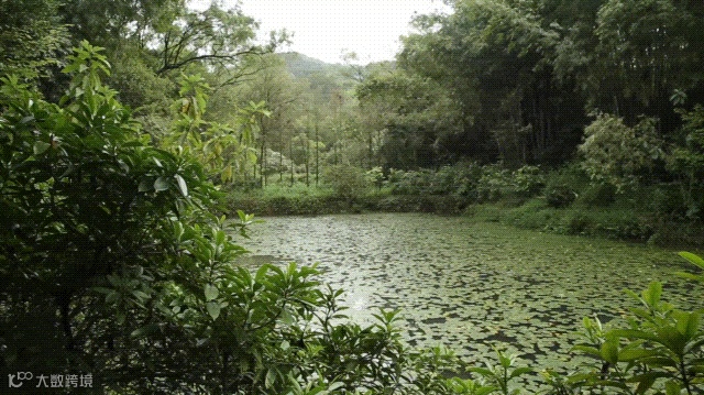 废片先别删,还能救!