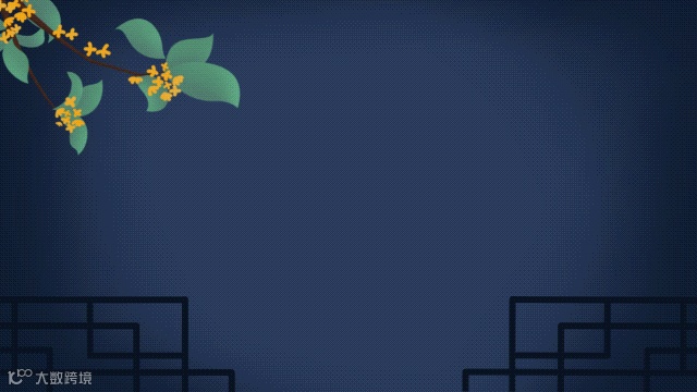 不用换iPhone 16！旧手机也能get同等拍摄效果