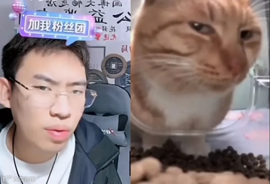 当剪辑师闯入听泉鉴宝直播间