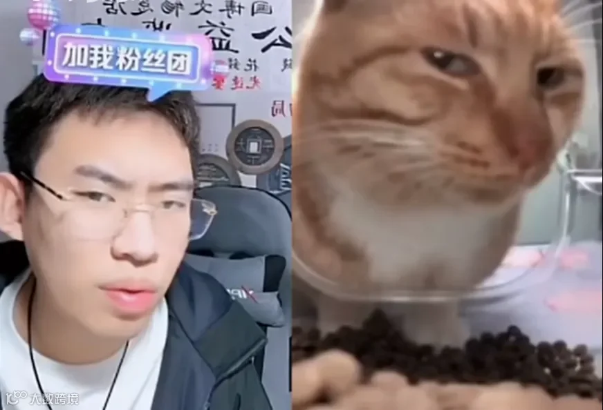 当剪辑师闯入听泉鉴宝直播间
