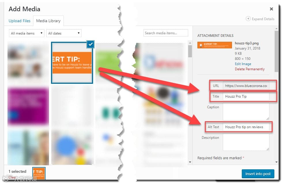干货｜从任意网页探索更多关键词