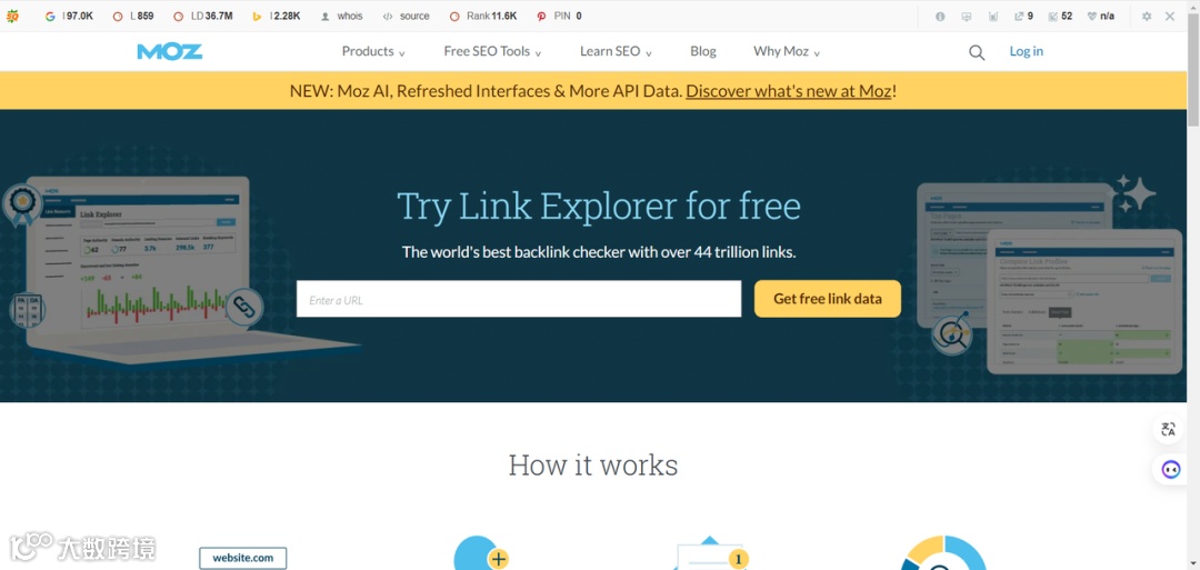 一文讲明白什么是SEO的域名权重