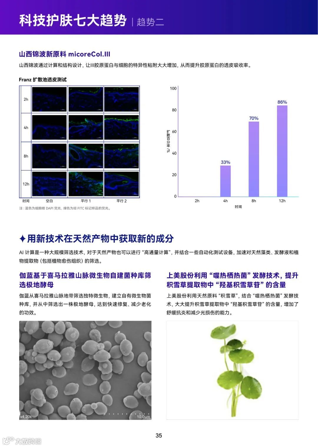 2023巨量引擎科技护肤白皮书