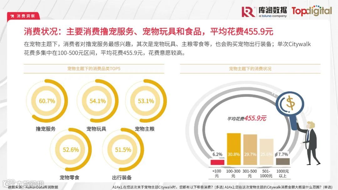 2023年轻人选择Citywalk的消费心理及消费趋势洞察