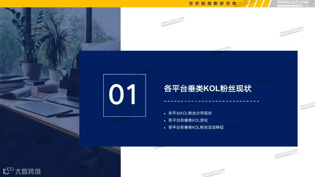 2022六大平台KOL粉丝分析研究报告（附下载）