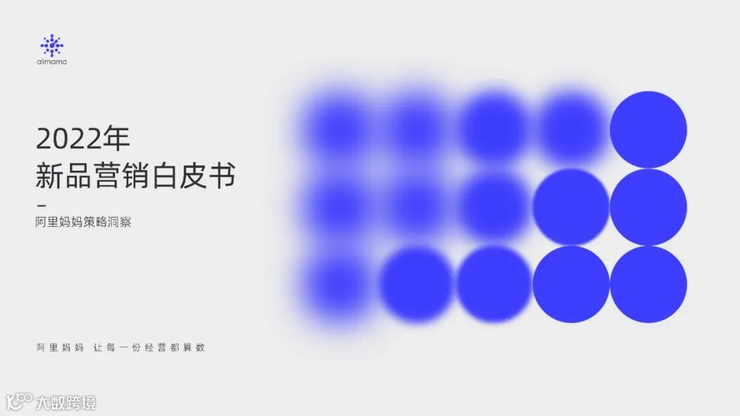 2022年新品营销白皮书（附下载）