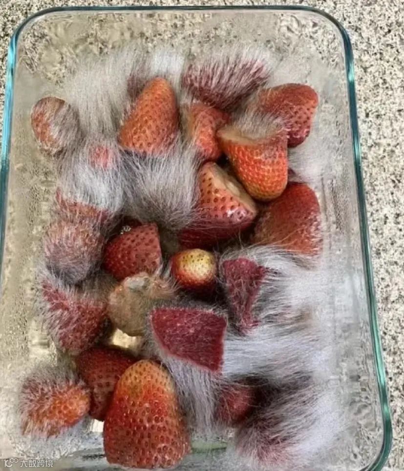 短视频「网感」怎么来？三大案例帮你拆解网感背后的底层逻辑!