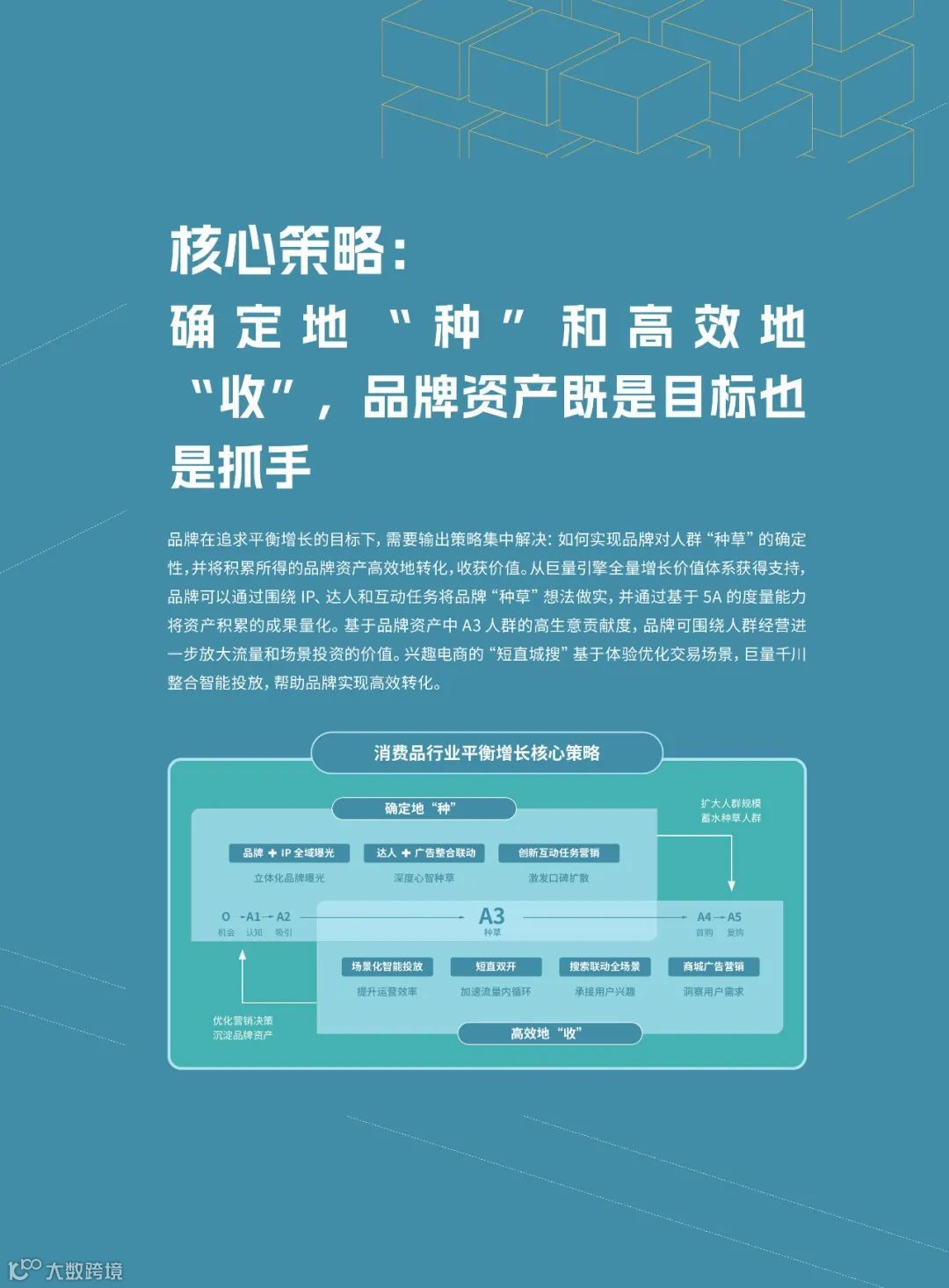 消费品行业平衡增长解决方案