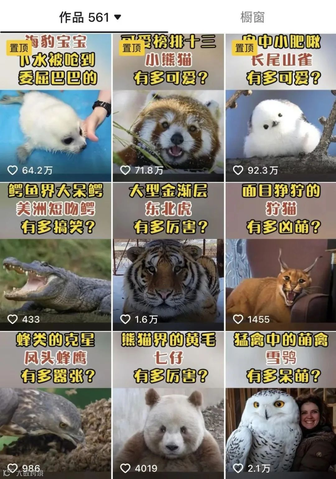 垂直账号打造攻略在手，AI配音助你轻松实现精准引流！