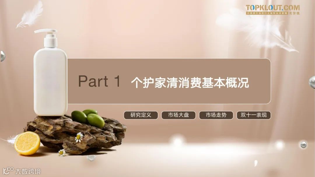 个护家清线上内容营销研究报告