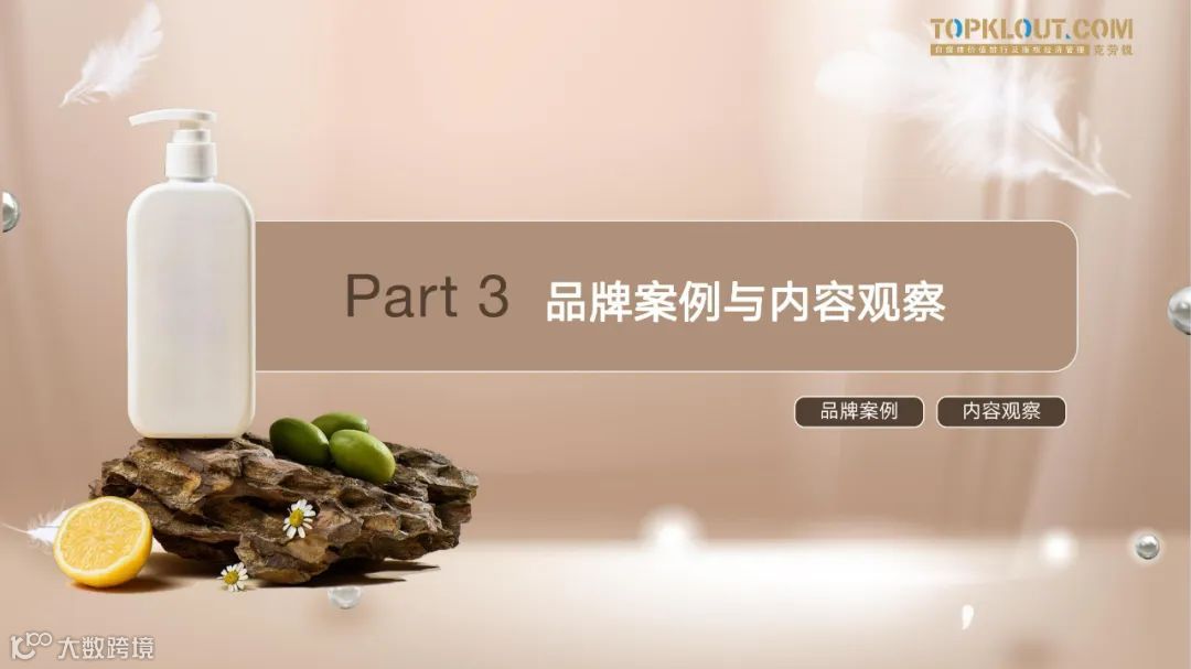 个护家清线上内容营销研究报告