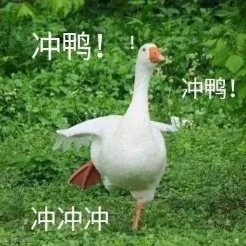 策划：人类高质量搬砖岗位