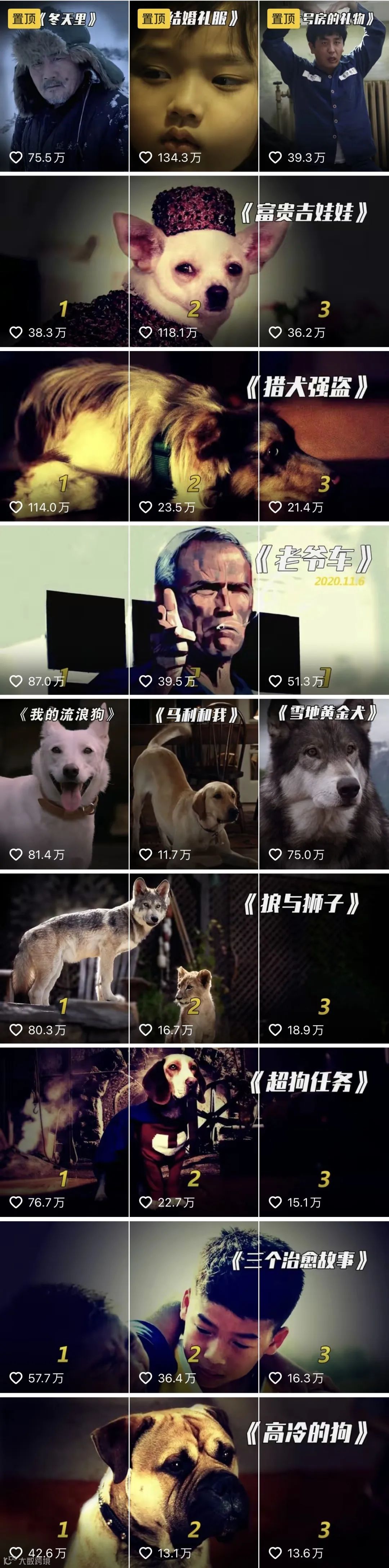 魔音新声 | 「猫屎电影」合作发音人【魔云猫】上线！【温情解说】调音教程同步发布~