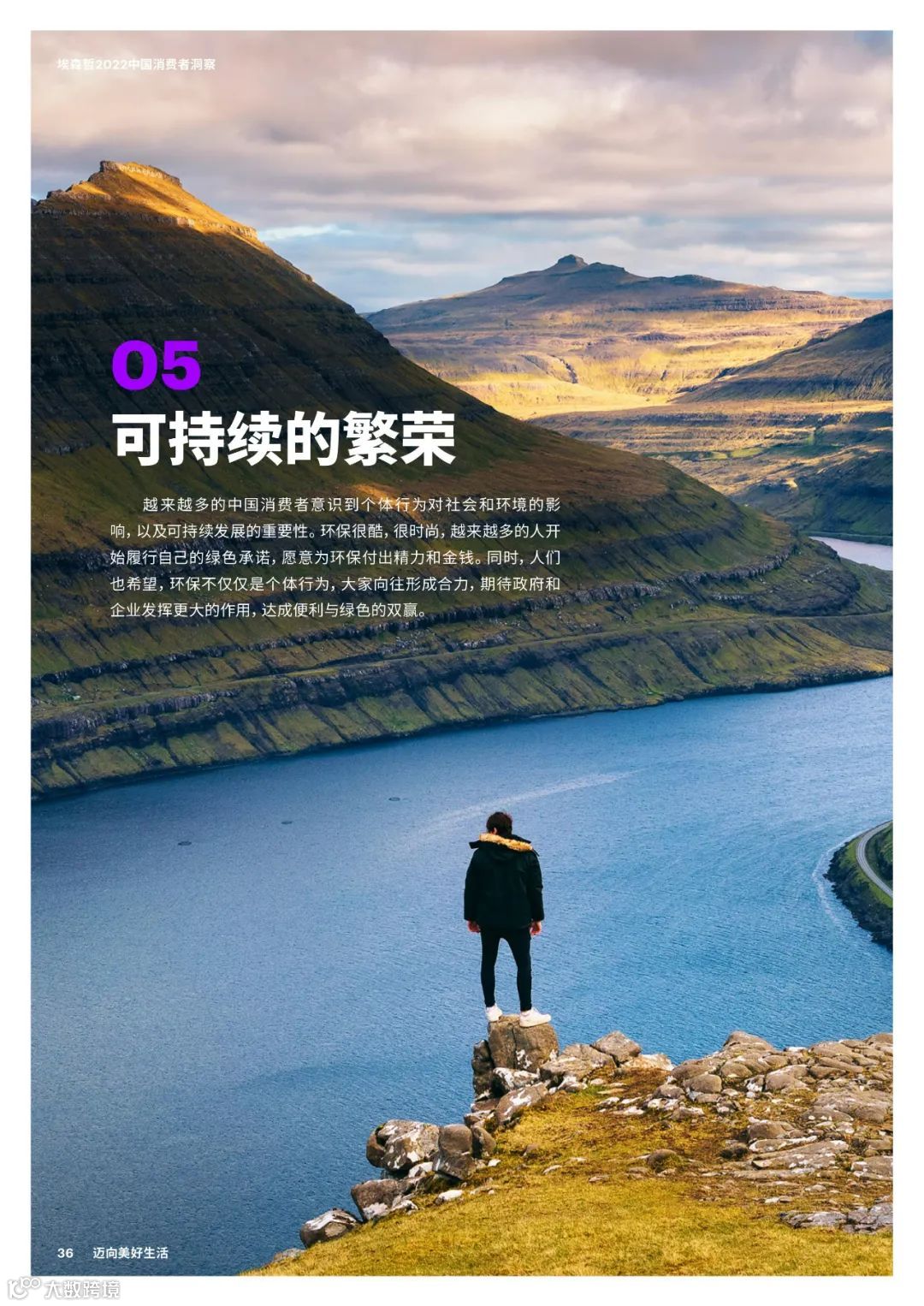 2022中国消费者洞察