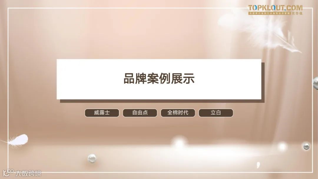 个护家清线上内容营销研究报告