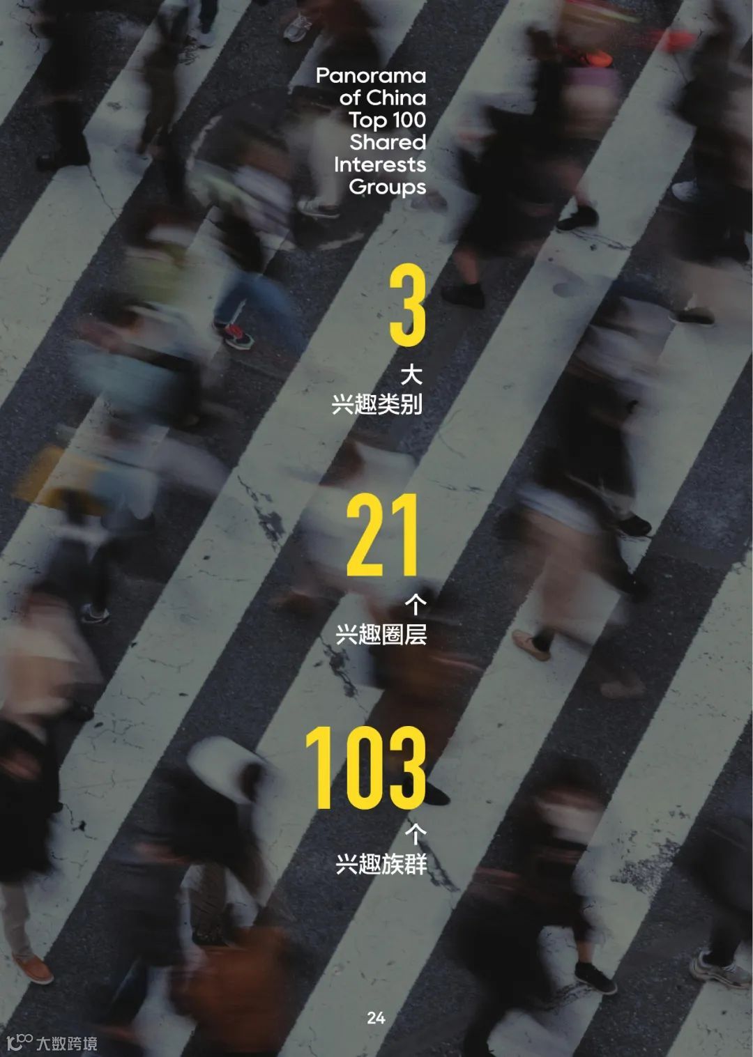 2022中国百大兴趣族群图鉴（附下载）