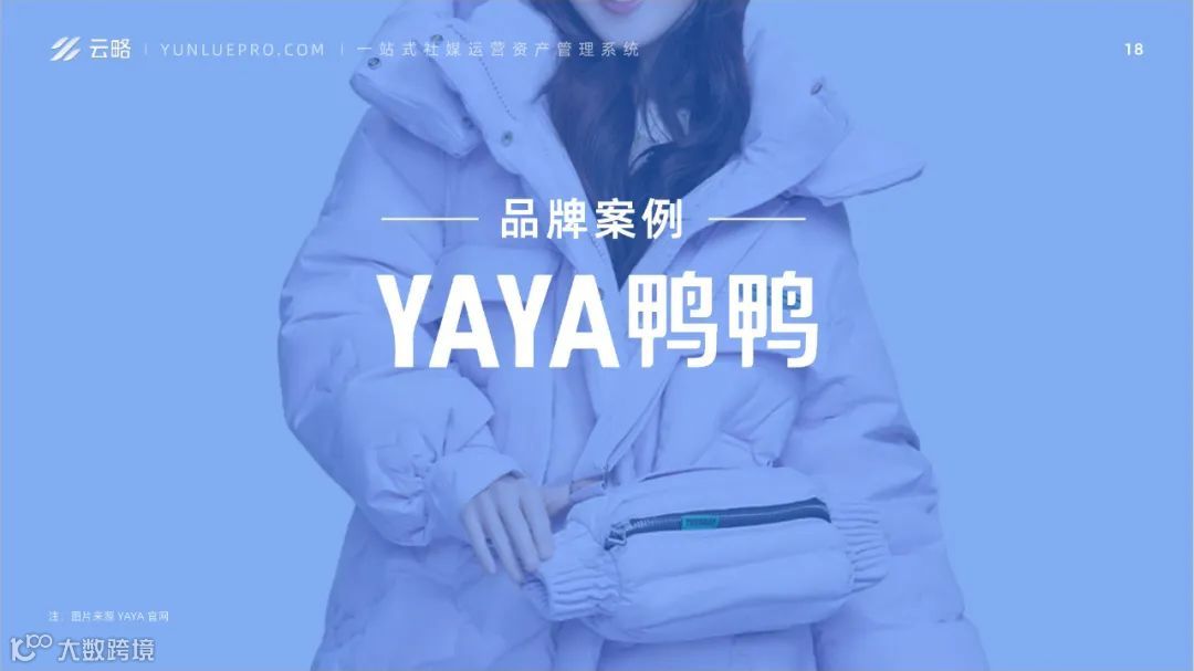 2023品牌新媒体矩阵营销洞察报告