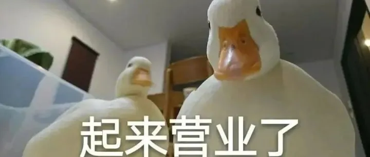 今日热词：Angelababy的弟弟将选秀出道，“出道”英语如何表达？