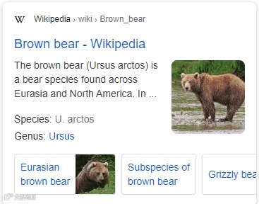 什么是Google Sitelinks？