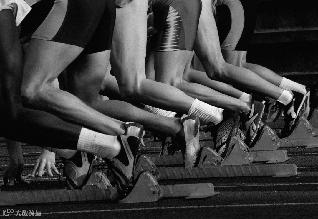 双11宠物经济爆发,商家做对了啥?