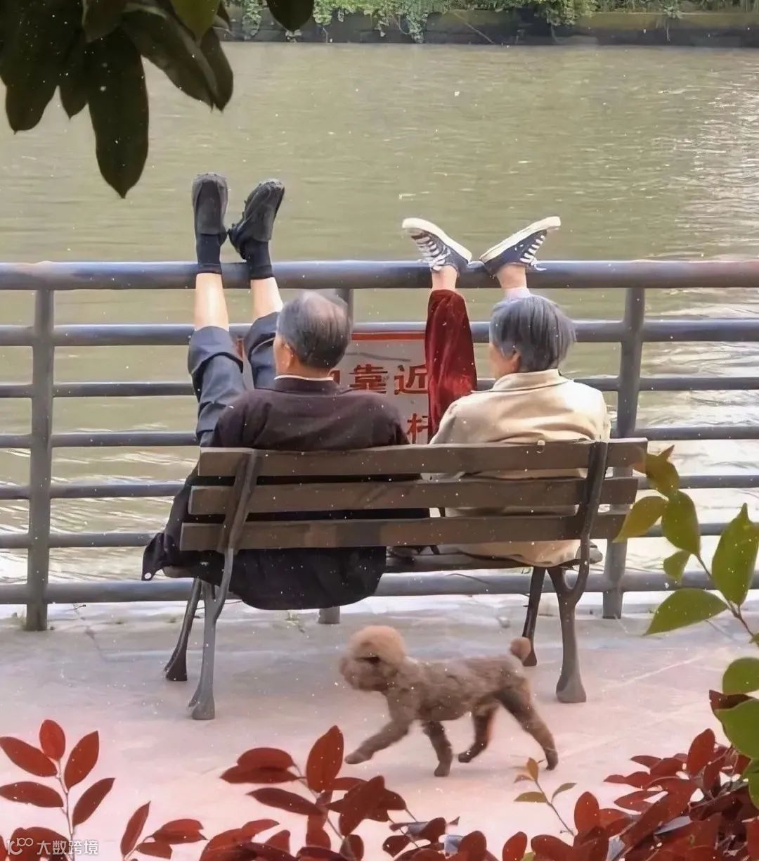 520最强英语表白,你还在用I love you吗?