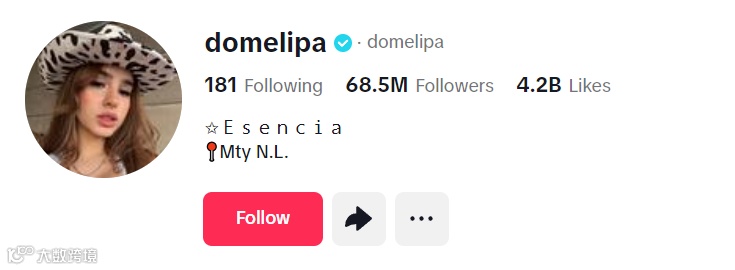 TikTok网红分享 | 8位值得关注的女性博主！