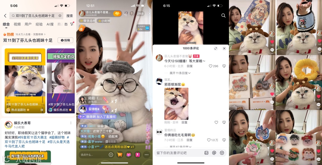 双11宠物经济爆发,商家做对了啥?