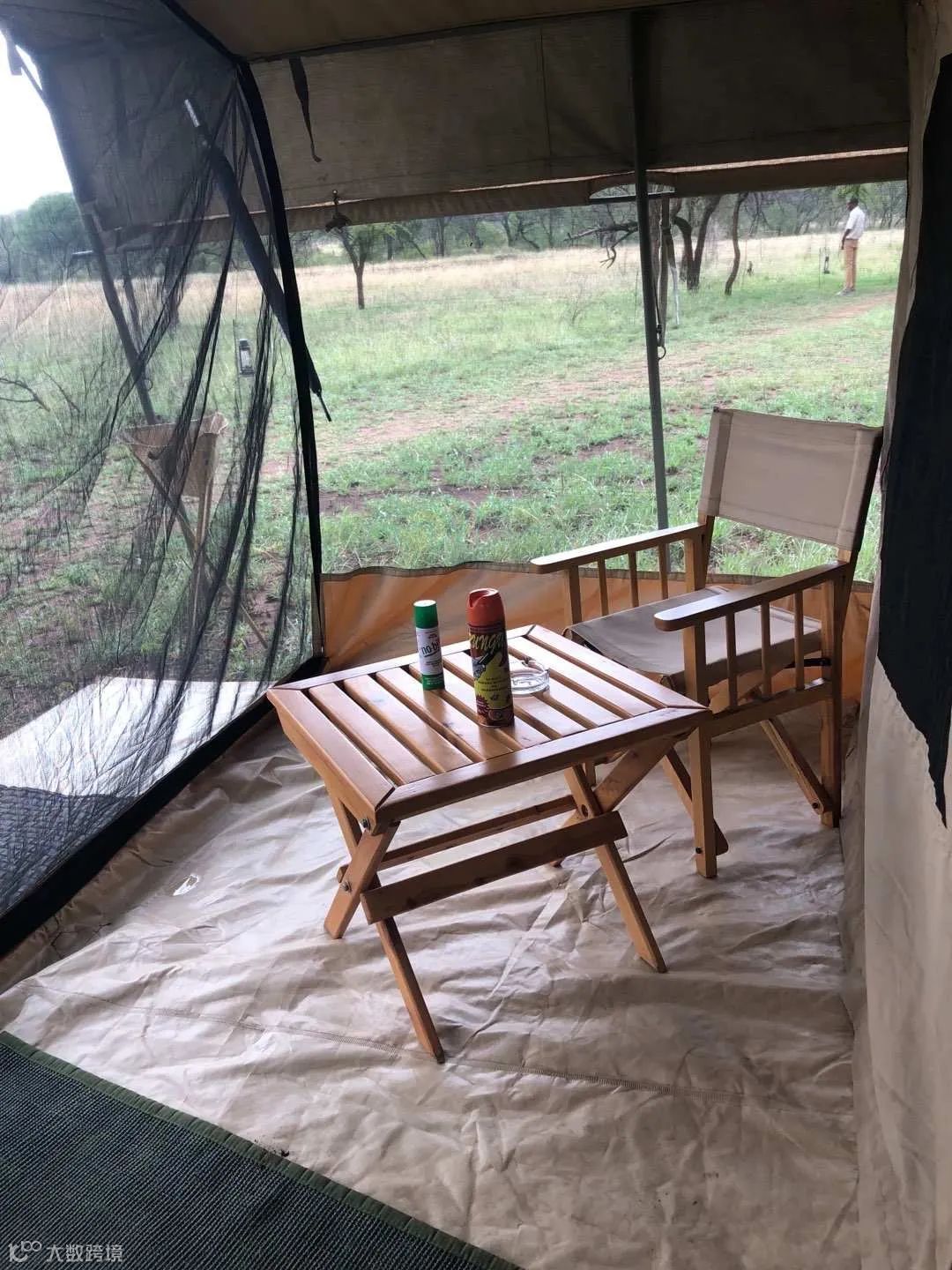 叮一口就没命、差点被非洲狮吃了…85后潮汕女孩以命相博，用一场冒险拿下大单！