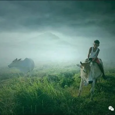 印尼：线下媒体使用行为调查报告