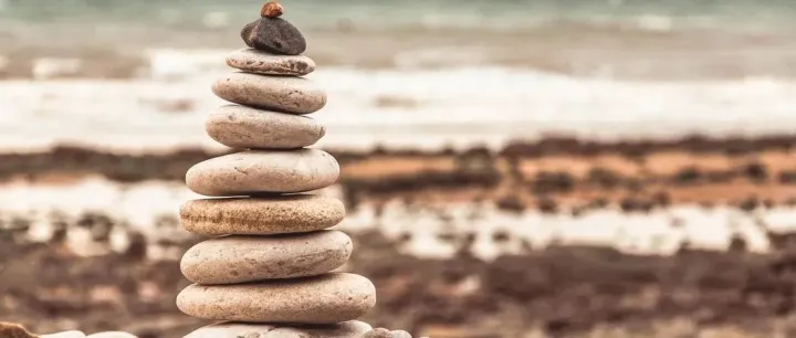 谷歌SEO：SEO网站分类指南