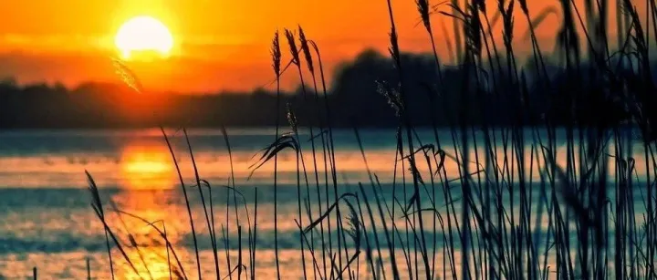 4步跟进不回复询盘