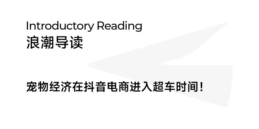 双11宠物经济爆发,商家做对了啥?
