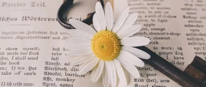 客户开发跟进中最常用的英文语句