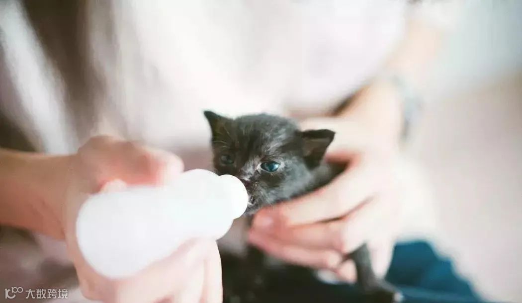 人在外企一定要记住：