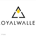 你应该知道的菲律宾17个电子钱包