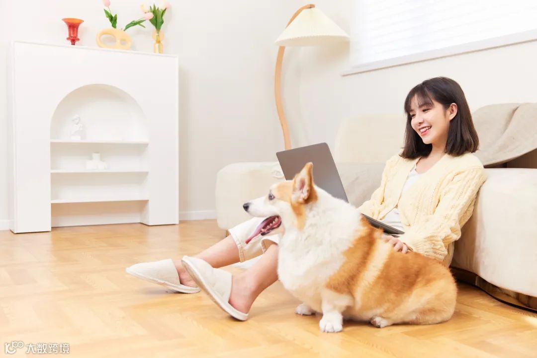 双11宠物经济爆发,商家做对了啥?