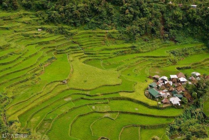 东南亚：你再不来就晚了